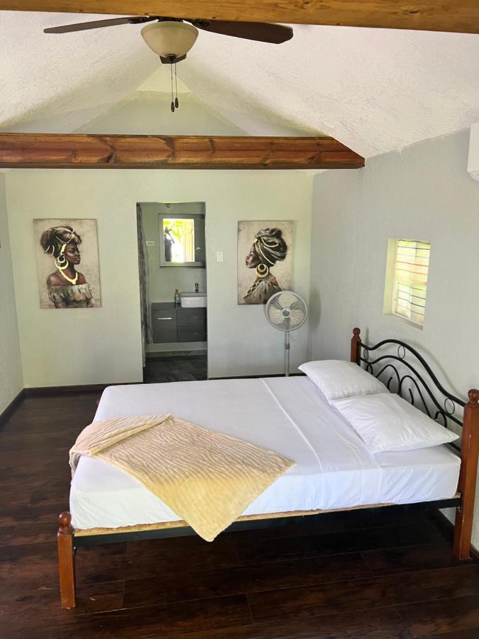 Jamaica Colors Hotel And Eco-Retreat Порт-Антоніо Екстер'єр фото