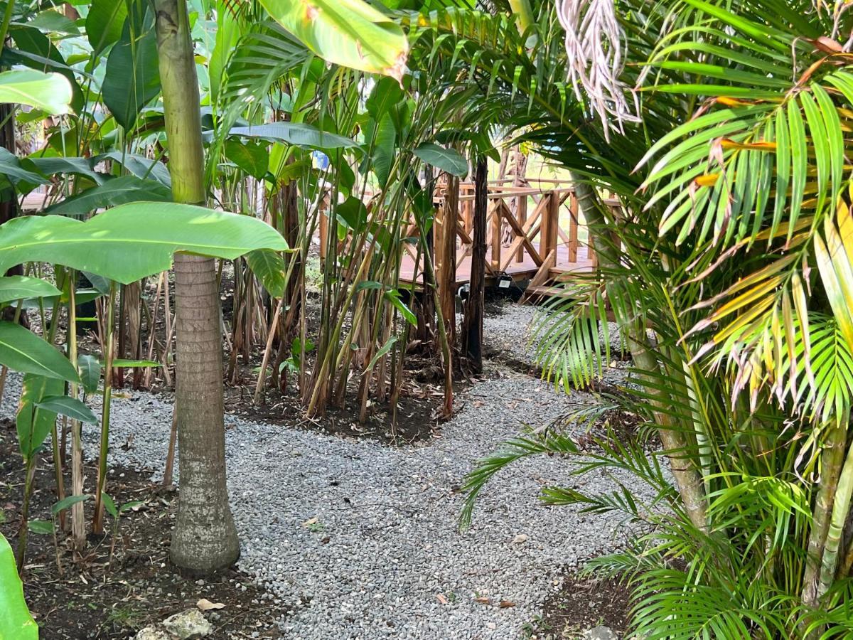 Jamaica Colors Hotel And Eco-Retreat Порт-Антоніо Екстер'єр фото