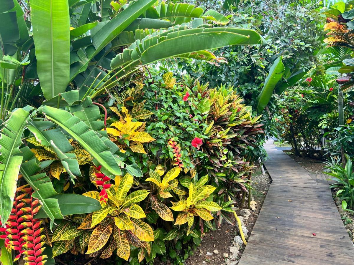 Jamaica Colors Hotel And Eco-Retreat Порт-Антоніо Екстер'єр фото