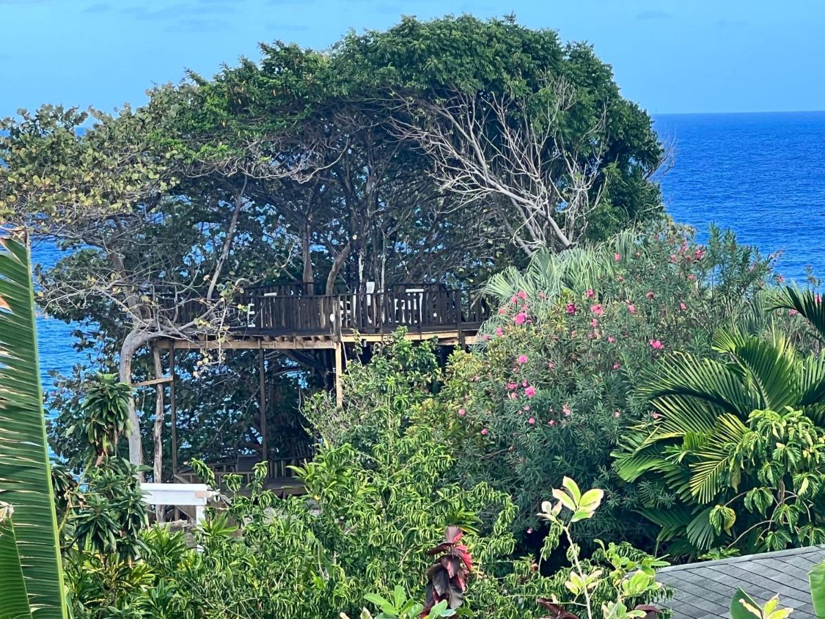 Jamaica Colors Hotel And Eco-Retreat Порт-Антоніо Екстер'єр фото