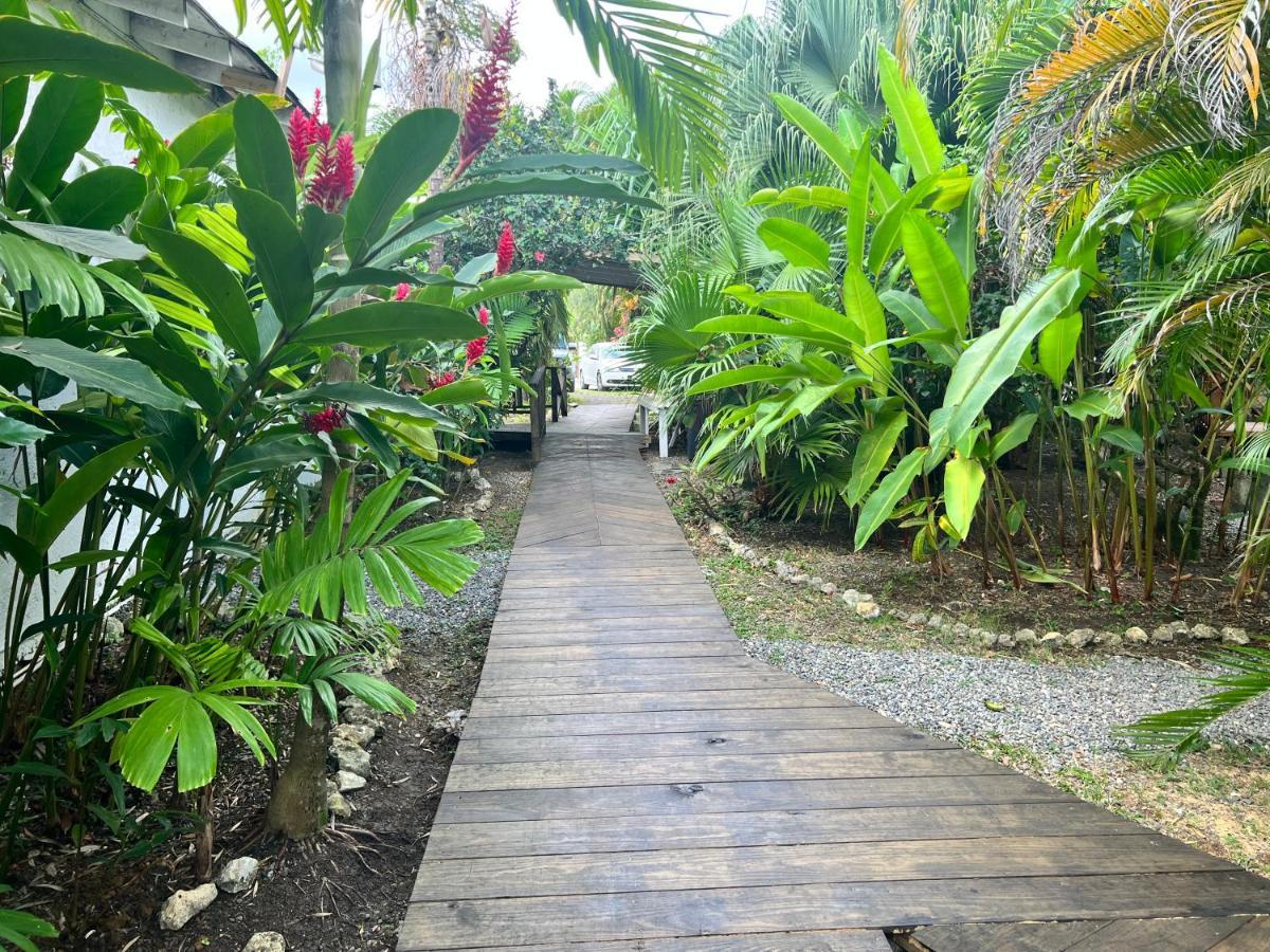Jamaica Colors Hotel And Eco-Retreat Порт-Антоніо Екстер'єр фото