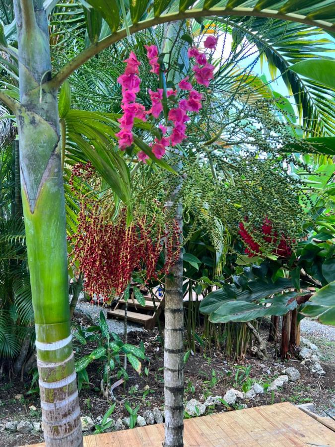 Jamaica Colors Hotel And Eco-Retreat Порт-Антоніо Екстер'єр фото