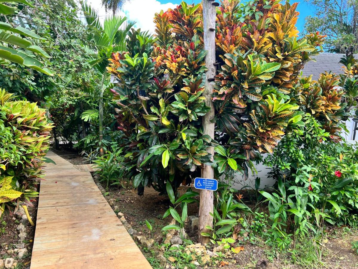 Jamaica Colors Hotel And Eco-Retreat Порт-Антоніо Екстер'єр фото